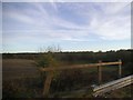 Field and woods by the A12, Martlesham in IP12 4RP