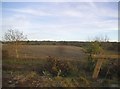Field by the A12, Martlesham in IP12 4RP