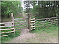 Path in Ashley Heath Forest in BH24 2ET