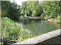 River Lugg from Mordiford Bridge in HR1 4LN