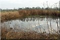 Pond north of Kettleburgh in IP13 7LJ