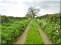 Winterborne Zelston, farm track in DT11 9ET