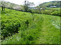 Branscombe, path between Manor Mill and the Bakery in EX12 3DB