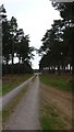 Forest track in IP24 3SX