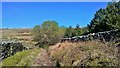 Path below Lantern Pike in Sett Ward