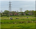 Horse paddocks near Blaby Mill in LE8 4FA