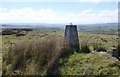 Trig point on Blakeman's Law in NE19 1HE