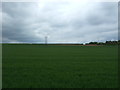 Crop field east of Mill Lane in B95 6JB