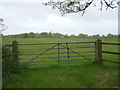 Field entrance off Whitepump Lane in B95 5RH