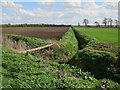 Fields and ditch by Witcham Bridge Drove in CB6 2DE