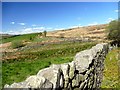 Drystone walls below Lantern Pike in Sett Ward