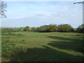 Grazing near the Colchester to Clacton Railway in CO7 8AH