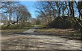 Path through the old Rashielee Quarries in PA8 6DU