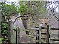 Gate to Catwalk Den Wood in EH46 7HW