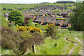 Littleworth from Hednesford Hills in WS12 0PP