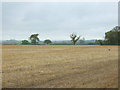 Stubble field near Dingle House Farm in B94 5BJ
