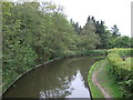 Stratford Canal near Rotherham's Farm in B94 6RW