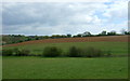 Fields near Hill Farm in CO11 1PN