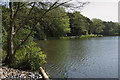 Allestree Lower lake in DE22 2EY