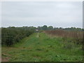 Farm track off Tilehouse Lane in B90 1DF