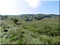 Rough grazing below Dumgoyach in G63 9AU