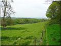 Public footpath past New Plantation, Offley in SG5 3FL
