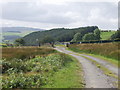 Cattle grid near Springhill in SY10 7NZ