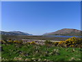 View across the Caol foreshore in PH33 7DR