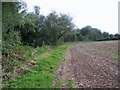 Field edge footpath near Coombe Bissett in SP5 4LE