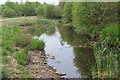 Pond in Bargoed Woodland Park in Pengam Community