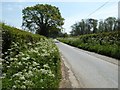 Country road to the north of Easton Villa in SY8 4LR