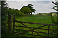 East Devon : Grassy Field in EX10 0JY