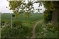 Footpath to Sydenham from the Lower Ichnield Way in OX39 4ST