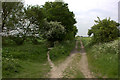 Lower Icknield Way. Footbridge over dry stream bed in OX39 4ST