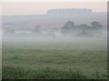 Mist, Wylye valley in BA12 0RJ