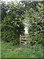 Double stile in a hedge in Staunton Harold
