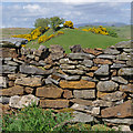 Dry stone wall near Keer Side in LA6 1NL