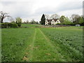 Approaching the end of a bridleway from Wappenham in Woodend