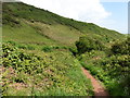 Coastal path, above Southdown Cliff in TQ5 9FU