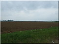 Field near Mast Farm in PE33 9FH