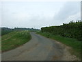 Willow Heath Road towards Downham Road in PE33 9EA