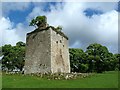 Barr Castle - Lochwinnoch in PA12 4AL