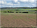 View south from Ashwell Road in SG7 6QT