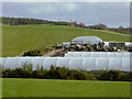 Polythene Tunnels at Greens Nurseries in IV12 5QN
