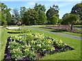 Flowerbeds in King George's Park in CM14 5AW