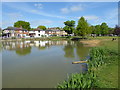 Mill Pond on Shenfield Common in CM14 4JL