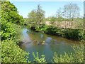 The River Teme below Ashford Bowdler church in Ashford Bowdler