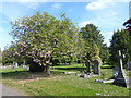 London Road Cemetery in Brentwood West Ward