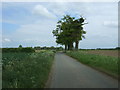 Scoulton Road towards Little Ellingham in NR17 1JR