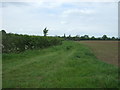 Farm track, Deopham in NR18 9TW